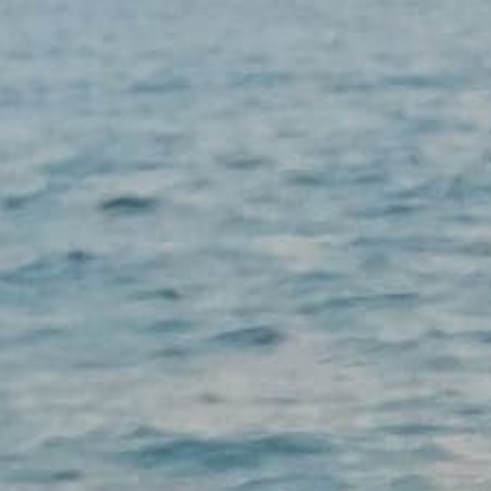 Meet your Posher, Meredith